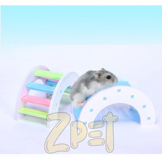 Cầu thang leo trèo dành cho hamster