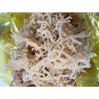 RONG CHÂN VỊT (RONG SỤN) 500GR