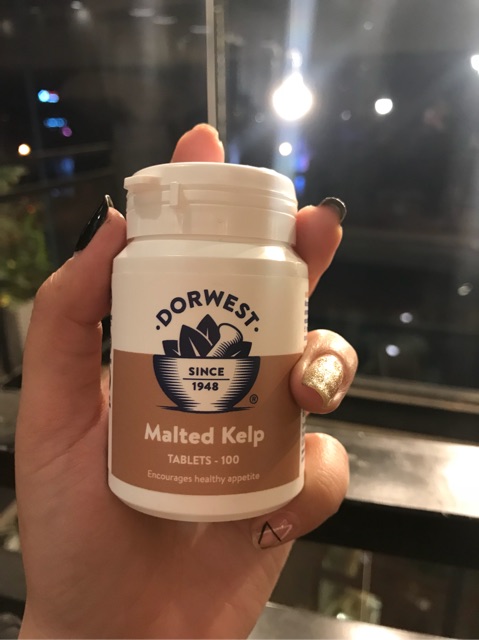 Malted Kelp Dorwest trị biếng ăn ở chó và mèo 100 viên