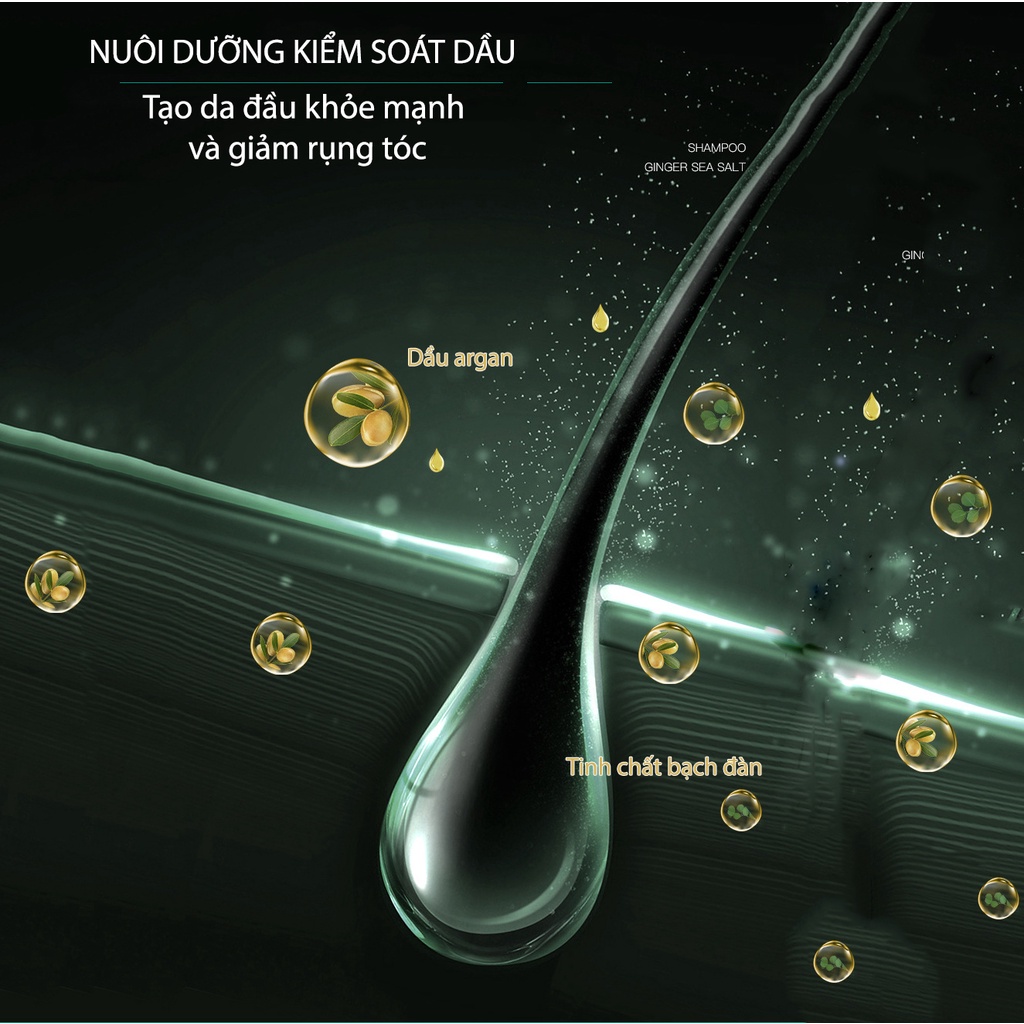Tẩy da chết da đầu NORO kiểm soát dầu nhờn giảm gầu bết tóc cao cấp MOCCO nôi địa trung HXVS011