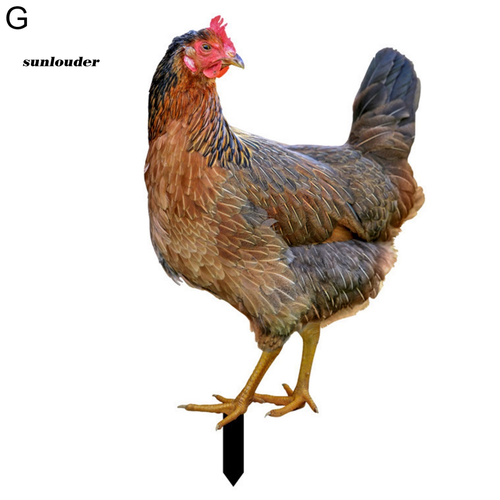 Mô Hình Con Gà Trống Trang Trí Sân Vườn