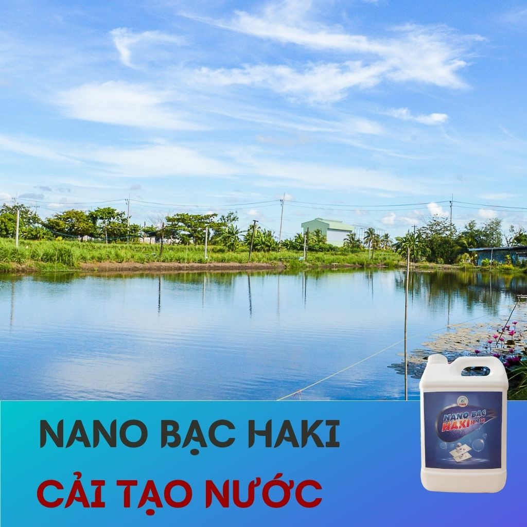 Nano bạc Haki nguyên chất cải tạo nguồn nướ, trộn vào thức ăn cho cá phòng và trị bệnh 500ppm – can 5l