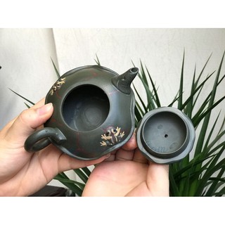 ẤM TỬ SA LIÊN PHÒNG ẾCH ẤM