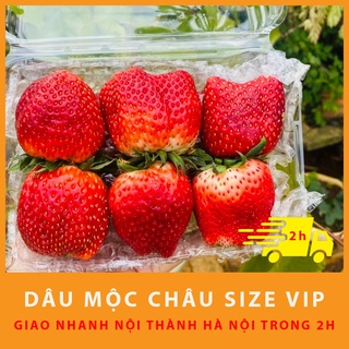 (Hà Nội) Dâu Tây Mộc Châu dâu bi