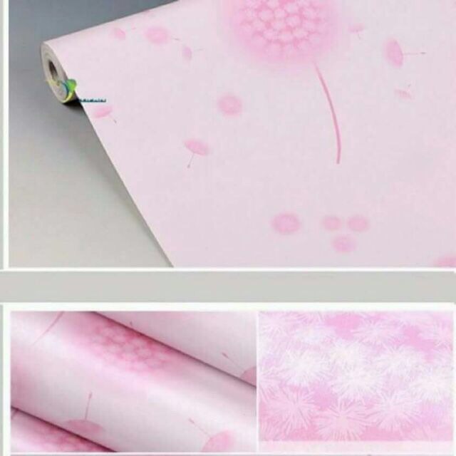 Combo Decal cuộn dán tường 