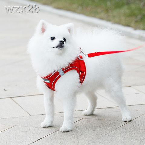 Dây xích cho chó kiểu vest, nhỏ, đeo ngực, con, dắt đi dạo, Teddy, Bichon, Pomeranian