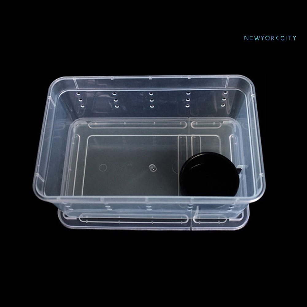 Hộp Đựng Thức Ăn Cho Thú Cưng Bò Sát Bằng Nhựa Trong Suốt Ốp