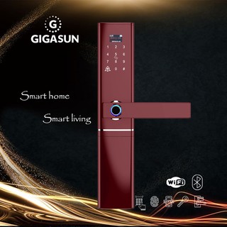 Khóa cửa thông minh Gigasun D07R
