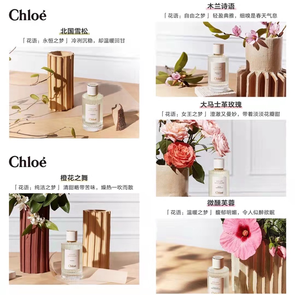 ✦GH✦ Nước hoa CEDRUS Chloe hương hoa mộc lan 10ml
