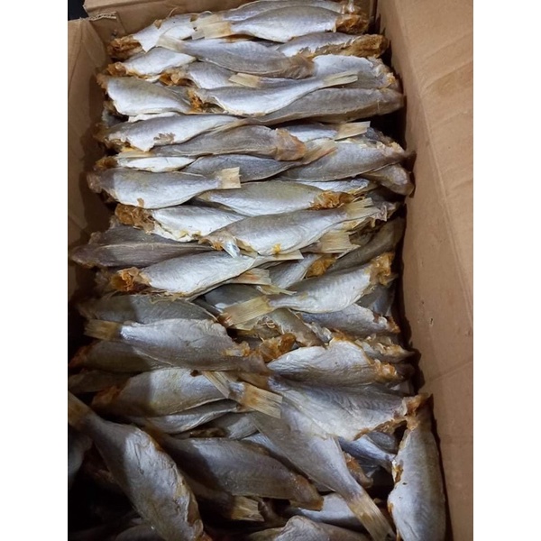 500Gr CÁ PHÈN KHÔ ngon.