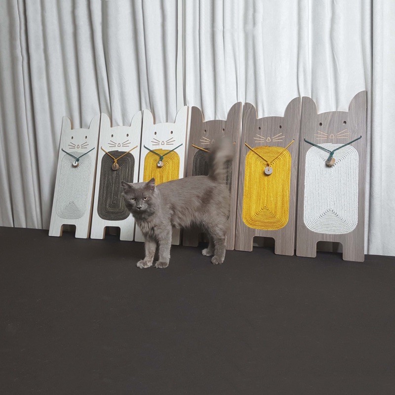 Bàn cào móng cho mèo cao cấp