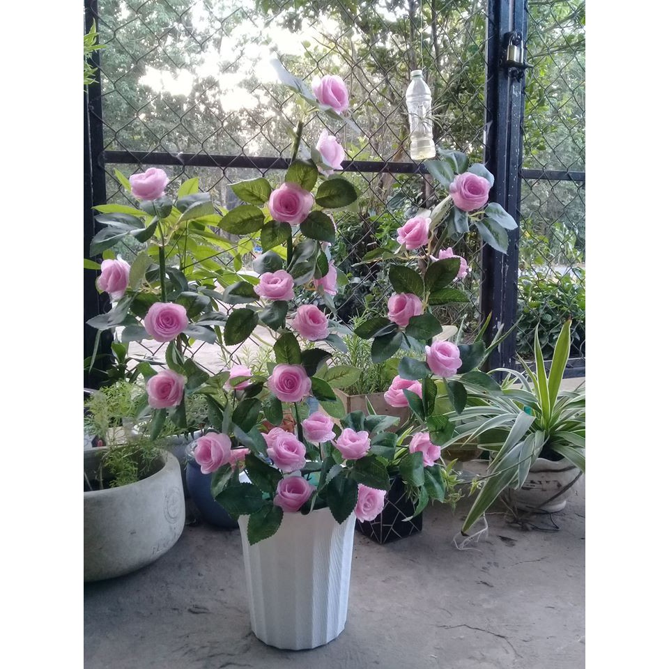 Bộ nguyên liệu làm cây hoa hồng+ bình