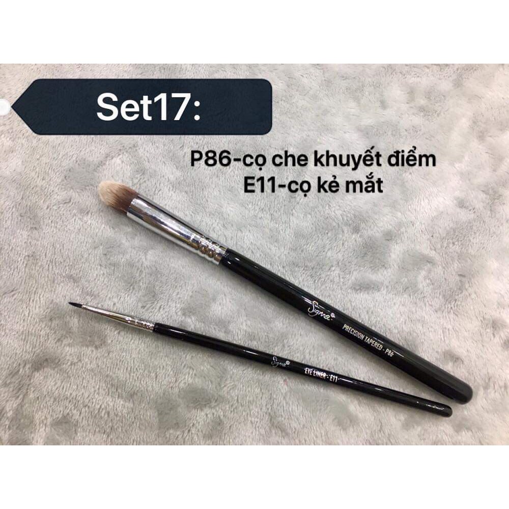 Thanh lý cọ Sigma chính hãng-giá rẻ nhất trong năm