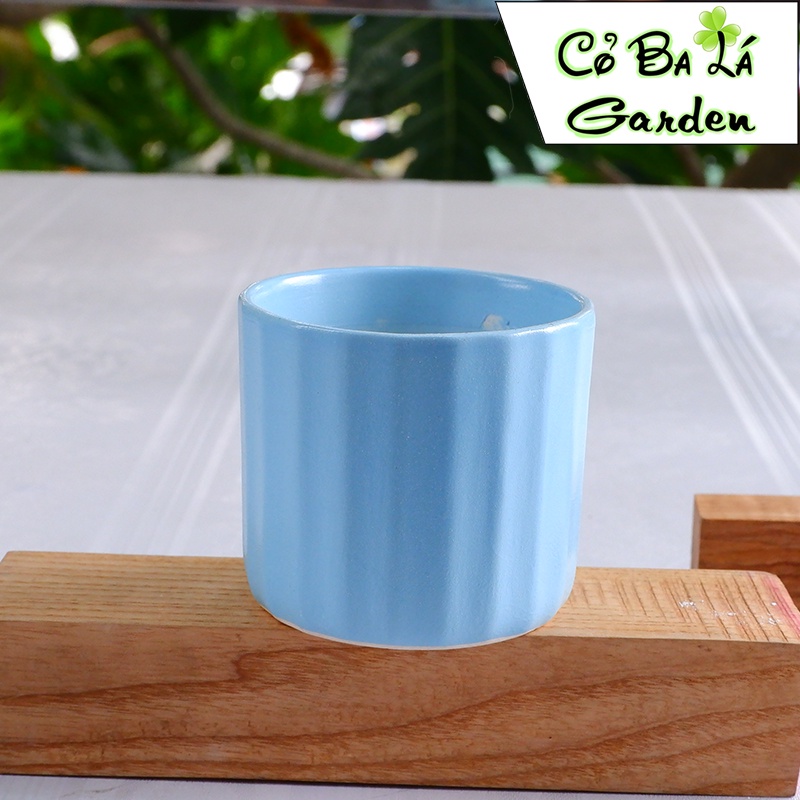 Chậu sứ trồng cây Hình Trụ mini 8x8 cm