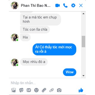 Tinh Dầu BƯỞI Nguyên Chất EVA COCO
