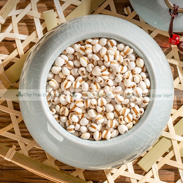 Y Dĩ Nếp Hạt To 1kg (Ý Dĩ,Hạt BoBo)