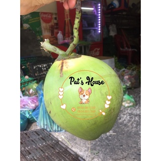 Trái dừa xiêm