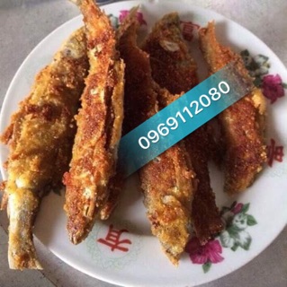 CÁ THÍNH CHUA PHÚ THỌ