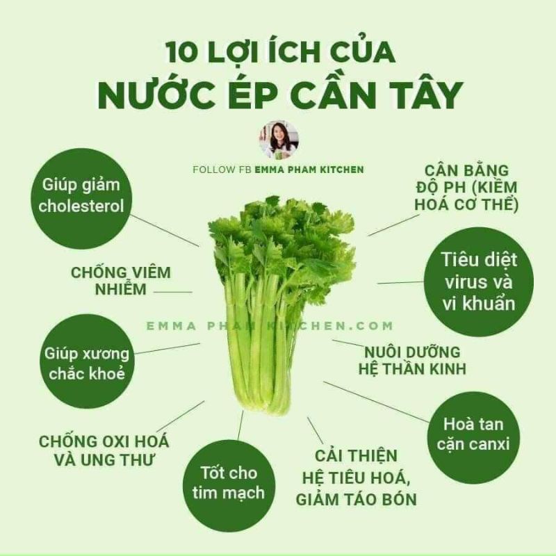 Bột Cần Tây Nguyên Chất Sấy Lạnh Công Nghệ Đức Từ Đà Lạt Farm Thanh Lọc Cơ Thể  (sp1354533)