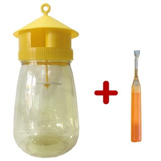 bẫy ruồi vàng, ruồi đục trái