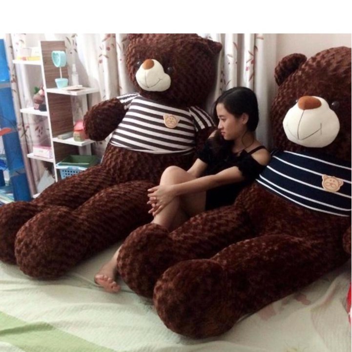 Gấu bông Teddy Cao Cấp khổ vải 2m Cao 1,8m màu nâu hàng VNXK