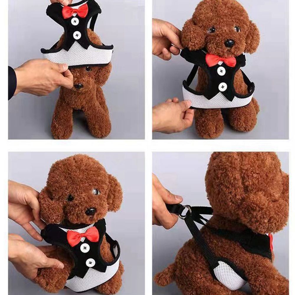 Áo vest nịt ngực đính nơ cổ dự tiệc tối có dây đai dắt thoáng mát cho cún cưng cỡ vừa và nhỏ