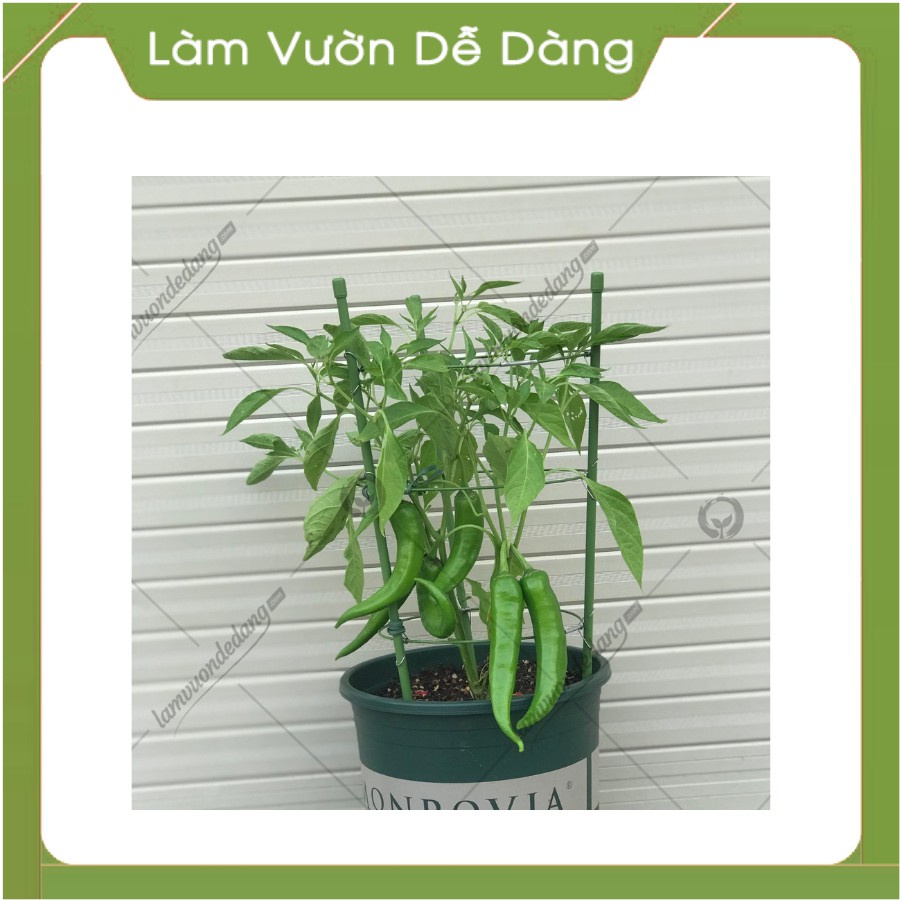 KHUNG TRÒN TRỒNG HOA - Làm giá đỡ cho cây, khung leo, khung đỡ cho các loại cây hoa leo, hồng leo.