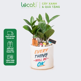 Cây kim tiền phát tài trồng chậu men sứ trụ bo in ảnh để bàn tạo động lực