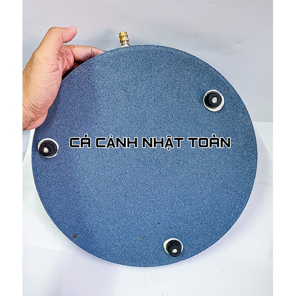 SỦI DĨA NANO SIÊU MỊN CHO BỂ CÁ CẢNH ĐƯỜNG KÍNH 30CM