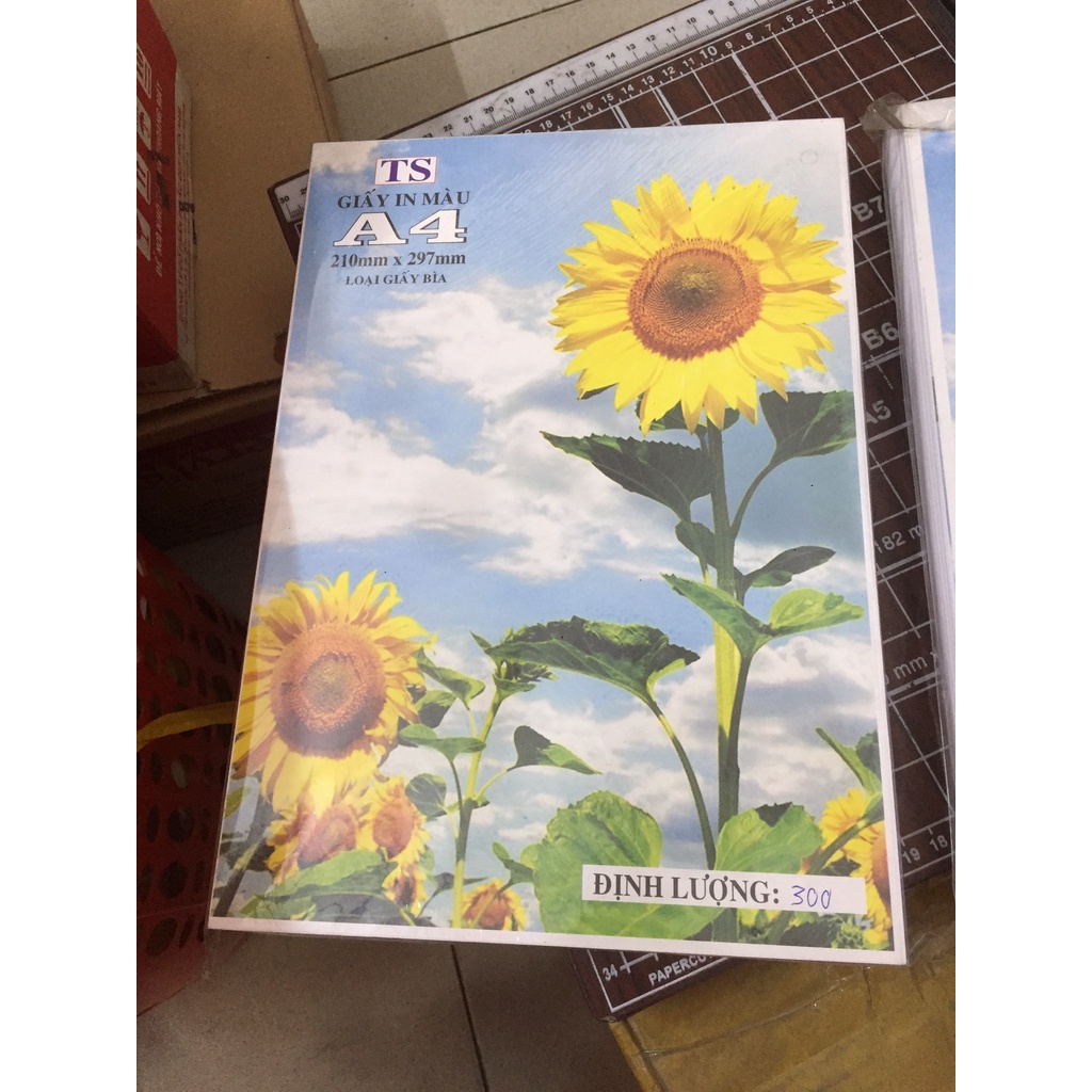 Giấy bìa màu trắng A4, bìa cứng loại 1 đủ 100 tờ định lượng 250gsm / 300gsm