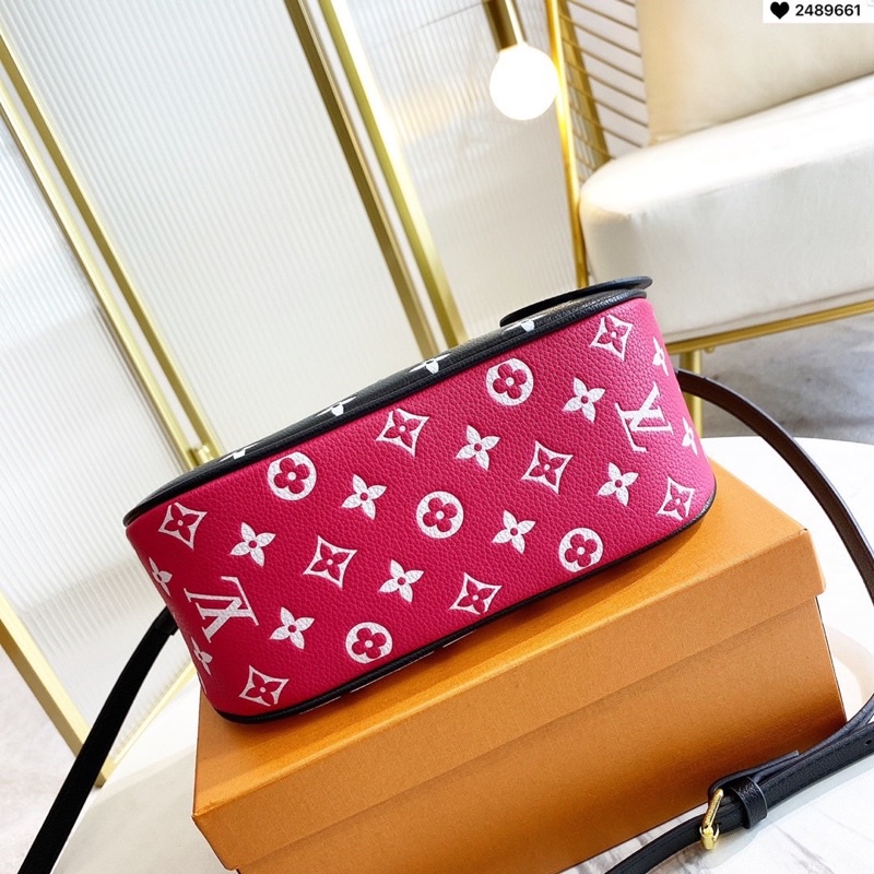 Túi lv mix màu size24