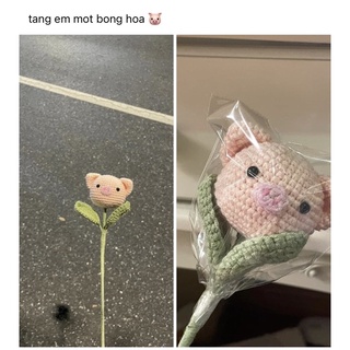 Bông lợn bằng len handmade