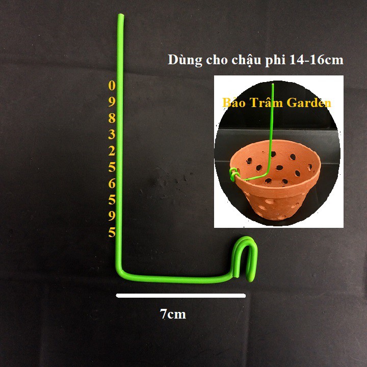 Set 20 que kẹp chậu giữ lan (kie lan)