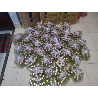 Tinh dầu tràm Huế 1 chai 100ml