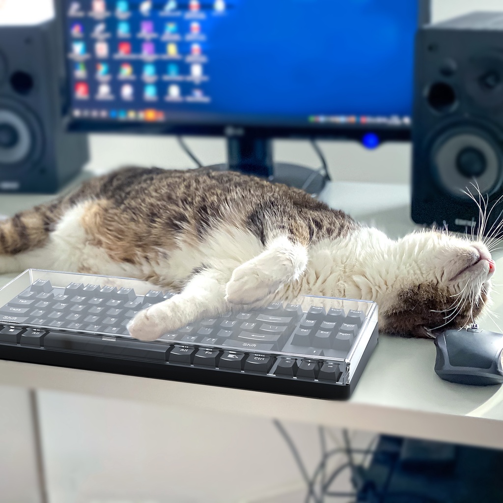 Tấm Lót Bảo Vệ Bàn Phím Máy Tính 80% compact 87 Tiện Dụng Cho logitech g pro g915 tkl