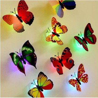 Combo 5 Đèn led hình chú bướm trang trí cực đẹp