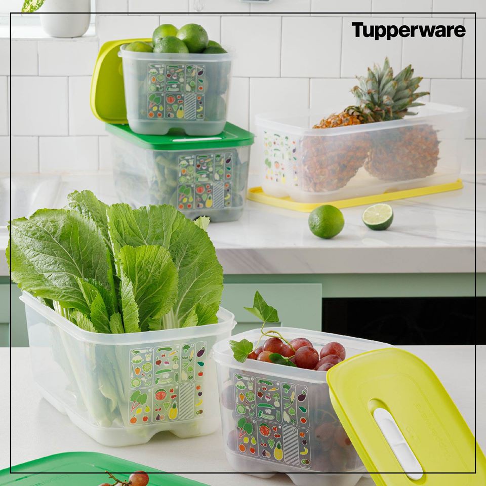 Hộp Tupperware Ventsmart Trữ Mát 800ml / 1.8l / 4.4l / 6.1l Chất Nhựa Nguyên Sinh Cao Cấp An Toàn