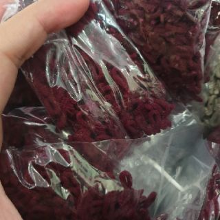 Bịch 50 miếng chun khuy