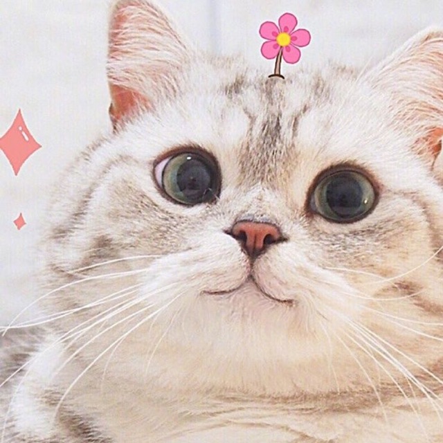 sususoo, Cửa hàng trực tuyến | BigBuy360 - bigbuy360.vn