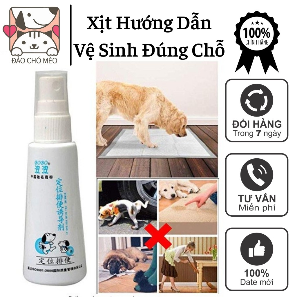 Xịt hướng dẫn vệ sinh đúng chỗ BoBo loại thế hệ mới - Xịt Bobo giúp chó mèo vệ sinh đúng chỗ - Đảo Chó Mèo