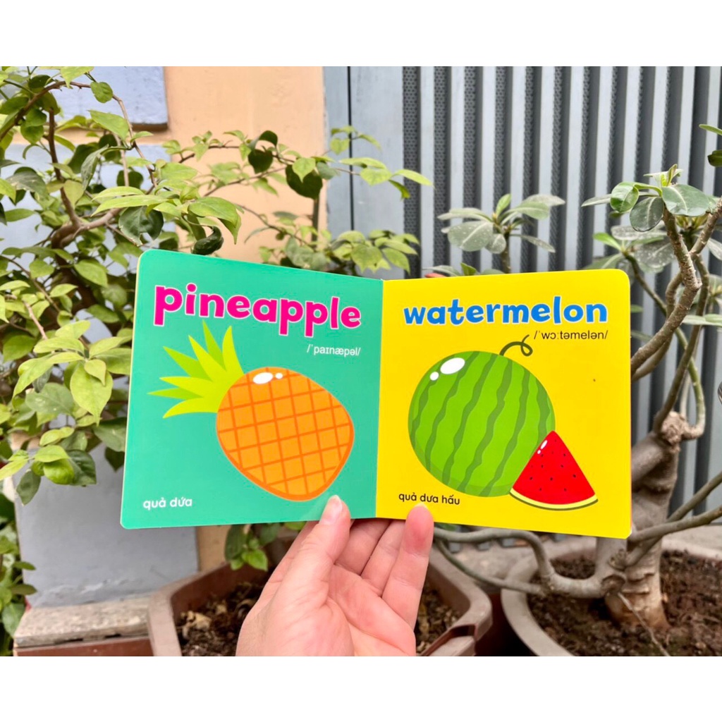 Sách - Thư viện hình ảnh đầu tiên Baby's First Picture Book