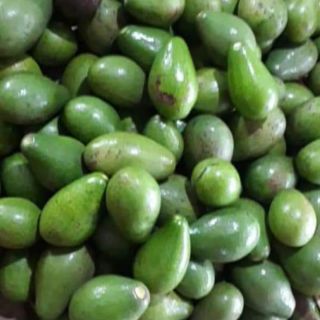 Dầu bơ