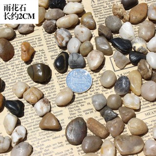 Đá Cuội Tự Nhiên Trang Trí Bể Cá