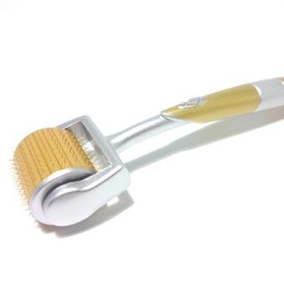 Cây lăn kim vàng trị sẹo rỗ tại nhà