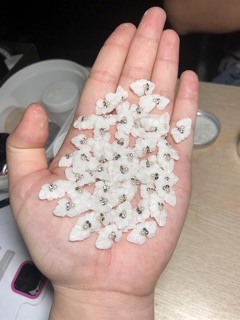 Hoa bột nail (ôm móng cực đẹp ) có nhiều màu khách lựa chọn