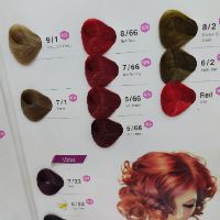 Thuốc nhuộm tóc Chibas full màu ( Kèm Oxi)