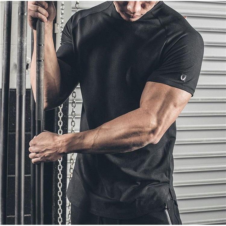Áo thun thể thao nam tay ngắn vải cotton thấm mồ hôi hút ẩm họa tiết đôi cánh cho nam tập thể dục thể thao