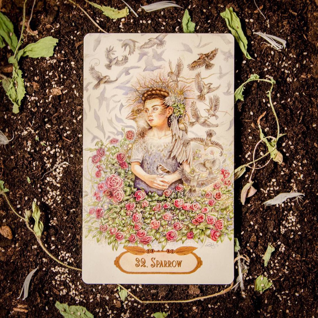 Bài Winged Enchantment Oracle