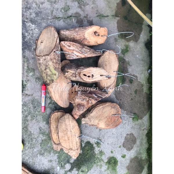 Bảng gỗ vú sữa sẵn móc treo