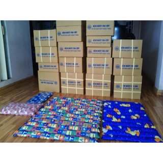 NỆM NƯỚC CAO CẤP NGỌC THẢO ( SIZE BABY) CHO BÉ HOẶC LÓT LƯNG NGƯỜI LỚN